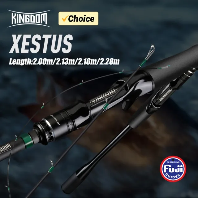 Kingdom Xestus Xestus 2.28m Casting MH