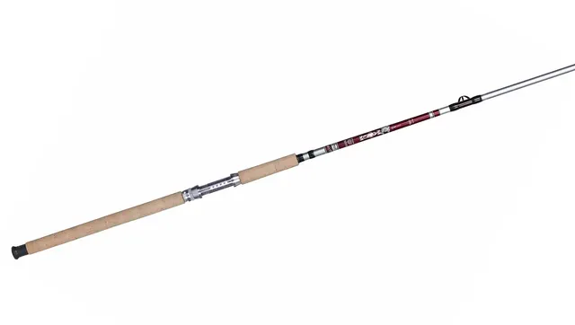 B'n'M SILVER CAT MAGNUM MAG75CN