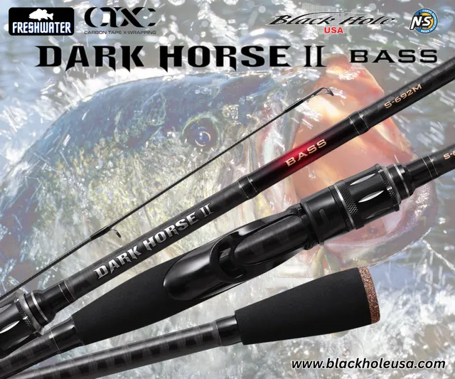 Black Hole Dark Horse II Bass C-682M