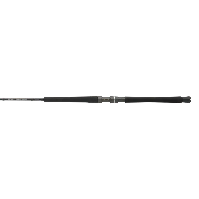 Shimano TALAVERA BOAT CASTING D TEC66HD