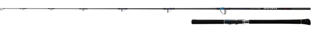 Daiwa Saltiga Break Through C83-6