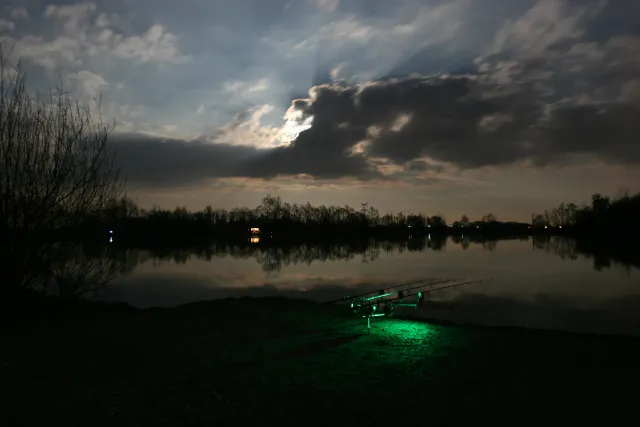 Free Spirit Helical Carp RHCL598