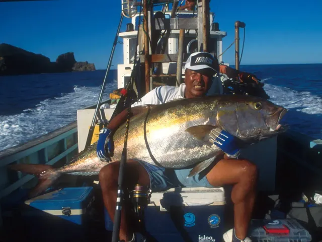 Fisherman BG.JACK 1&half 78