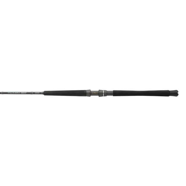 Shimano TALAVERA BOAT CASTING D TEC70MHD