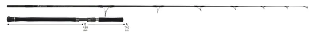 Ripple Fisher Aquila ST 85-6