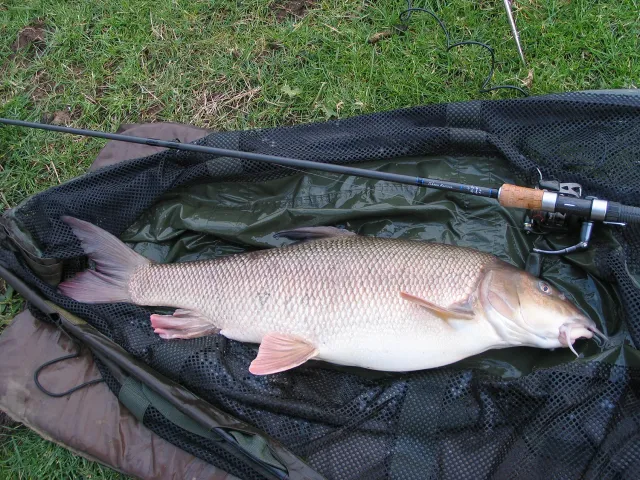 Free Spirit Hi-‘S’ Specialist & Barbel and Heavy Waters HSS352