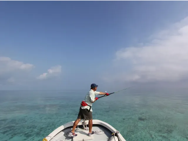 Fisherman G.TREVALLY 1&half 80