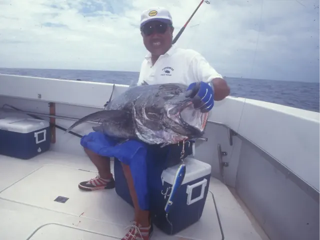 Fisherman YELLOWTAIL DJ 1piece 65