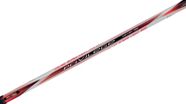 Colmic Privilege 10'10"